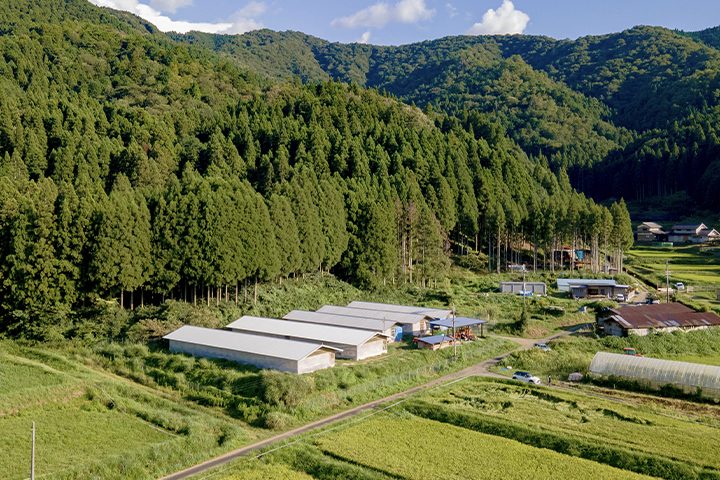 蓮ヶ峯農場（綾部市）の鶏舎